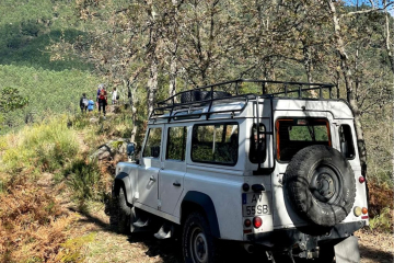 Meet Our Beloved Team of Land Rovers